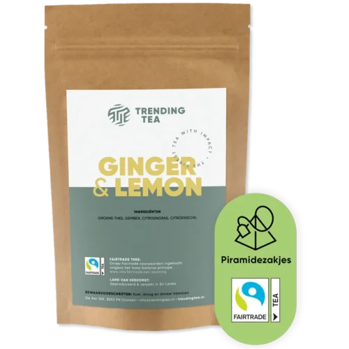 TrendingTea Ginger & Lemon piramidezakjes 100st